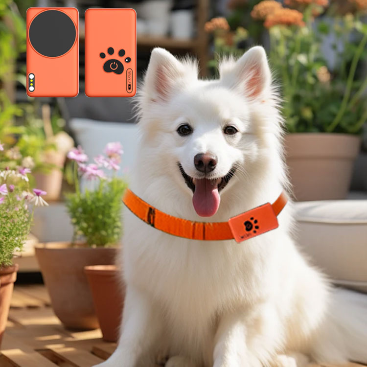 AI Wearable Pet Health Monitor - Breath Rate Monitor incelemesi ve fiyatı